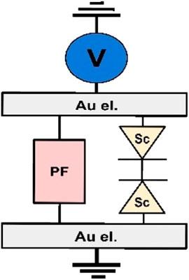 Conduction mechanisms in a planar nanocomposite resistive switching device based on cluster-assembled Au/ZrOx films